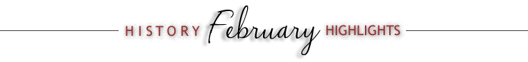 Buy premium loose leaf teas, tea accessories, spices and gifts online