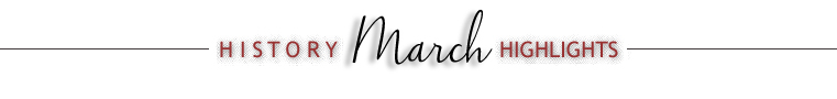 Buy premium loose leaf teas, tea accessories, spices and gifts online
